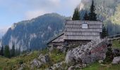 Tour Wandern Wochein - Etape 4 : hut to hut  - Photo 8