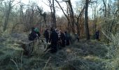 Percorso Marcia Fontainebleau - Ne dépassons pas les bornes ! - Photo 3