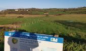 Trail Walking Hautot-sur-Mer - hautot sur mer pourville - Photo 7