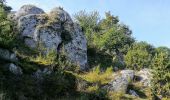 Tour Zu Fuß Berkatal - Premiumweg P2 Frankershäuser Karst - Photo 7