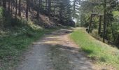 Trail Walking Barre-des-Cévennes - 15-05-2023 E10 Barre des Cévennes - Pont de Burgen  - Photo 2