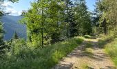 Tocht Elektrische fiets Gérardmer - GérardMer grand tour - Photo 2