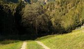 Percorso A piedi Peio - (SI C02) Pejo - Malga Ponte Vecchio - Malga Verdignana - Passo Cercena - Malga Cercena Alta - Malga Cercena Bassa - Bagni di Rabbi - Photo 3