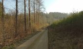 Trail Mountain bike Virton - Orval  -  Balade_VTT_50Kms - Photo 18