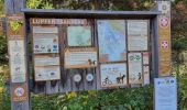 Trail Trail Unknown - Whitefish Lupfer - Photo 1