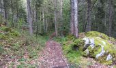 Trail Walking Les Rousses - lac des rousses . roche blanche . fort du risoux - Photo 5