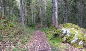 Tour Wandern Les Rousses - lac des rousses . roche blanche . fort du risoux - Photo 5