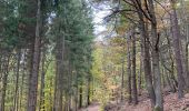 Tour Wandern Durbuy - Bois et champs.  - Photo 8