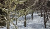 Tocht Sneeuwschoenen Autrans-Méaudre en Vercors - Pas de Nave  - Photo 8