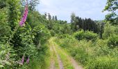 Trail Walking Aywaille - Le tour de septroux - Photo 17
