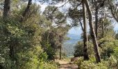 Randonnée Marche Caunes-Minervois - LaMatte 5 mai 2022 - Photo 2