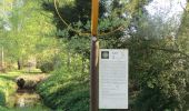 Tour Zu Fuß Niederkrüchten - Rundweg A1 Dilborner Wald - Photo 1