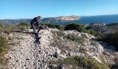 Trail Walking Marseille - Calanques, cirque des Pételins-08-11-2023 - Photo 8
