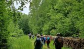 Trail Walking Seringes-et-Nesles - En terre Tardenoise - Photo 2