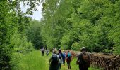 Percorso Marcia Seringes-et-Nesles - En terre Tardenoise - Photo 2