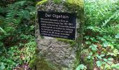 Tour Zu Fuß Tübingen - Geologischer Lehrpfad - Photo 9