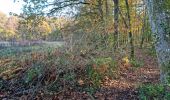 Randonnée Marche Vendôme - Forêt de Vendôme - Bois de l'Oratoire - Photo 3