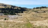 Tour Wandern Entremont-le-Vieux - la Plagne le Pinet :en boucle partielle à  partir de la bifurcation GR9 et montée au Pinet - Photo 14