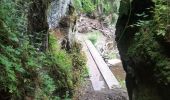 Percorso Marcia Bertrix - la roche percée  - Photo 2