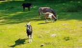 Tour Wandern Chaumont-Gistoux - 2020-05-28 Rando IR204 Dion le Val 22 km - Photo 17