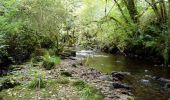 Randonnée A pied The Municipal District of Dungarvan — Lismore - Glenshelane Red Walk - Photo 8