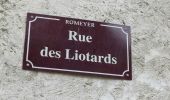 Tour Wandern Romeyer - Col des Bachassons depuis Romeyer - Photo 3