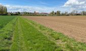 Trail Walking Ormoy-le-Davien - Boucle départ Ormoy le Davien 60620 - Foret de Retz - Photo 18