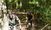 Tour Wandern Courgoul - 2019-05-23 18:38:08 - Photo 4