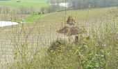 Excursión Bici de montaña Molières - Molières par Castelnau Montratier - Photo 1