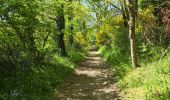 Tocht Stappen Vigneux-de-Bretagne - De Vigneux de Bretagne à Savenay  - Photo 8