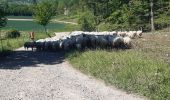 Tocht Stappen Riemst - tour de la montagne st pierre - Photo 2