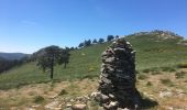 Tour Wandern Rosis - Le sommet du Plo des Brus dans l'Espinouse - Photo 14
