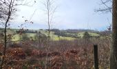Tocht Stappen Anthisnes - Anthisnes 250225 - Photo 18