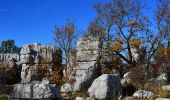 Trail Walking Vence - Col de Vence - Village des Idôles - Puy de Tourettes - Pic des Courmettes - Tourettes sur Loup - Photo 2