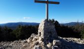 Tour Wandern Cuers - Barres de Cuers  - Photo 20