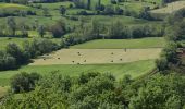 Tour Zu Fuß Marcillac-Vallon - Le Puech du Cayla - Photo 6