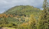 Randonnée Marche Schirmeck - Schirmeck - sentier du Colbéry - Photo 7