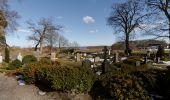 Tour Zu Fuß Ulsnis - Erholungsort Ulsnis: Rundweg Kirchenholz - Photo 10