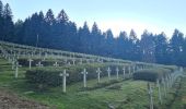 Tour Wandern Metzeral - Tour Steinabruck - Mittlach - Photo 5