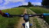 Trail Mountain bike Walcourt - activity_8994564839 - Photo 6