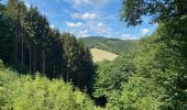 Randonnée Marche Kiischpelt - Escapardenne Eisleck Trail: Kautenbach - Clervaux - Photo 15