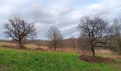 Tocht Stappen Luik - quintufyon rando 3 Landes de Streupas - Photo 8