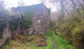 Tocht Stappen Dinant - mon tour de la citadelle  - Photo 8