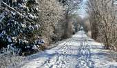 Tocht Stappen Hannuit - Hannut R1 - Photo 5