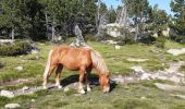 Trail Walking Les Angles - balade des 12 lacs  depuis le lac de bouilloires  - Photo 2