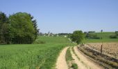 Trail On foot Dinant - Chemin des Pélerins (Foy) - Photo 6
