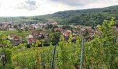 Tour Wandern Andlau - 2022-09 Boucle Andlau - Château du Haut-Andlai - Château de Spesbourg - Photo 10