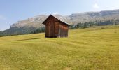 Trail Walking Prags - Braies - Strudelkopf - Monte Specie 2307m - Photo 17
