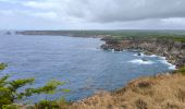 Trail Walking Anse-Bertrand - Guadeloupe - Pointe de la Petite Vigie à Pointe de la Grande Vigie - Photo 9