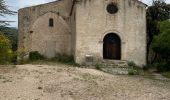 Tocht Stappen Vaugines - PF-Vaugines - Cucuron - l'Ermitage - Vaugines - 17.06.2021 - Photo 20